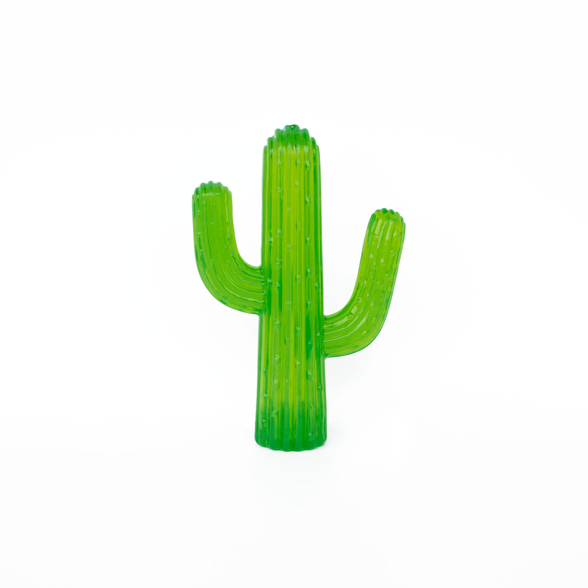 Cactus – ZippyTuff